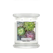 Kringle Candle Succulents kvapioji žvakė vidutinė 2 dagčiai (411 g)
