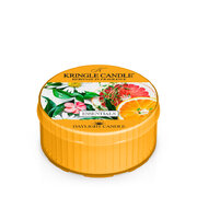 Kringle Candle Essentials kvapioji žvakė kvapioji žvakė (42 g)