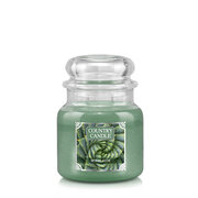 Country Candle Spiral Aloe kvapioji žvakė vidutinė 2 dagčiai (453 g)