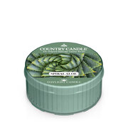 Country Candle Spiral alavijo kvapioji žvakė (42 g)