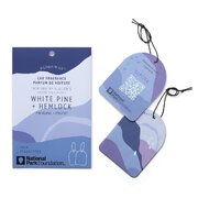 Paddywax Parks GLACIER WHITE PINE & HEMLOCK automobilių kvapas