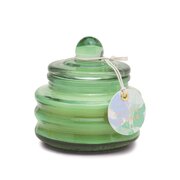 Paddywax BEAM Green: kaktuso gėlių kvapioji žvakė, 3 uncijos / 85 g