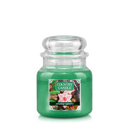 Country Candle Holiday Sweets vidutinė 2 dagčių kvapni žvakė (453 g)