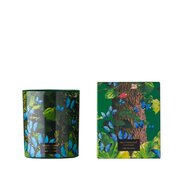 Vila Hermanos Jungletopia BUTTERFLY kvapioji žvakė 200g