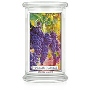 Kringle Candle Vineyard Harvest didelė 2 dagčių kvapioji žvakė (624 g)