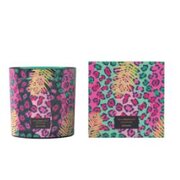 Vila Hermanos Jungletopia WILD MUSK kvapioji žvakė 650g