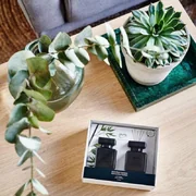 ipuro Essentials Black Bamboo 2x50ml difuzorius dovanų dėžutėje