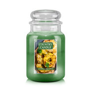Country Candle Charred Pineapple didelė 2 dagčių kvapioji žvakė (737 g)
