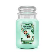 Country Candle Lemon Tea & Roses didelė 2 dagčių kvapni žvakė (737 g)