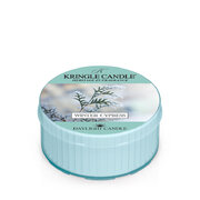 Kringle Candle Winter Cypress kvapioji žvakė (42g)