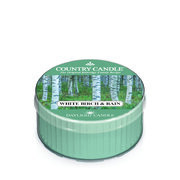 Country Candle Balta beržo ir lietaus kvapo žvakė (42g)