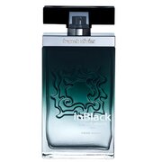 Franck Olivier In Black Pour Homme Tualetinis vanduo