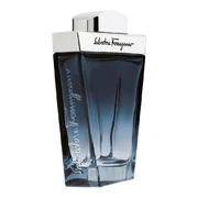 Salvatore Ferragamo Subtil Pour Homme Tualetinis vanduo