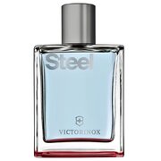 Victorinox Steel Tualetinis vanduo