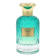 Flavia Celestc Horizon Parfumuotas vanduo 100ml