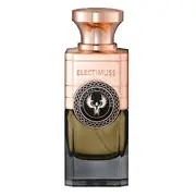 Electimuss Mercurial Cashmere Parfumuotas vanduo