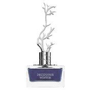 Aurora Scents Deciduous Winter Parfumuotas vanduo 100ml