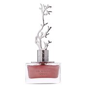 Aurora Scents Deciduous Spring Parfumuotas vanduo 100ml