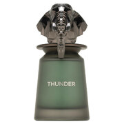 French Avenue Thunder Parfumuotas vanduo 100ml