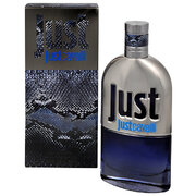 Roberto Cavalli Just Cavalli Him 2013 Tualetinis vanduo