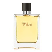 Hermes Terre D'Hermes Pure Parfum Parfumuotas vanduo 200ml