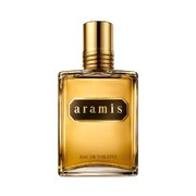 Aramis Aramis Tualetinis vanduo 110ml
