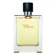 Hermes Terre D'Hermes Tualetinis vanduo - testeris 100ml