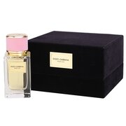 Dolce & Gabbana Velvet Love  Parfumuotas vanduo