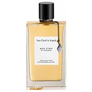 Van Cleef&Arpels Collection Extraordinaire Bois D'Iris Parfumuotas vanduo