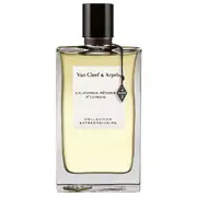 Van Cleef&Arpels Collection Extraordinaire California Reverie Parfumuotas vanduo - testeris 75ml