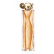 Givenchy Organza Parfumuotas vanduo