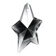 Thierry Mugler Angel Fantasm Parfumuotas vanduo