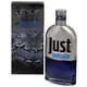 Roberto Cavalli Just Cavalli Him 2013 Tualetinis vanduo