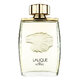 Lalique Pour Homme Lion Parfumuotas vanduo