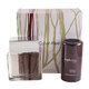 Calvin Klein Euphoria for Men Dovanų rinkinys, Tualetinis vanduo 100ml + Tepamas Dezodorantasas 75g (Travel set)