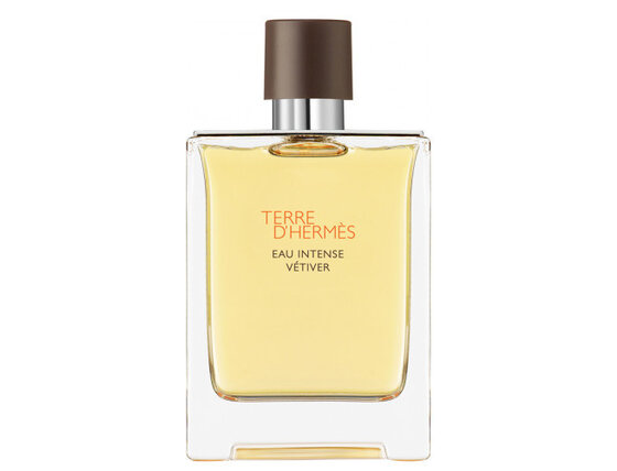 Hermes terre d'hermes eau intense vetiver parfémovaná voda 200ml - poškodený obal - hermes-terre-d-hermes-eau-intense-vetiver-edp