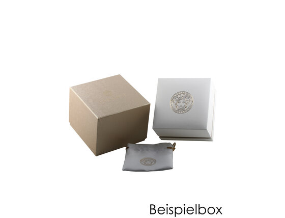 versace_box_110_20_17_34.jpg