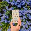 Miniatiūra: Wild honey & cactus flower bee case deostick, 40 g - 486620586_1149102190348562_6774521135099687929_n