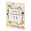 Miniatiūra: Pracie pásiky issencia na 2 prania camibaby - Issencia - Camibaby - 02