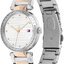 Miniatiūra: 