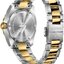 Miniatiūra: 